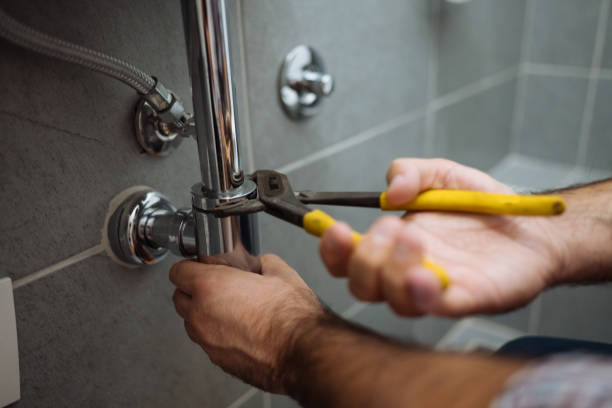 Best Toilet Repair Services  in Spring Creek, NV